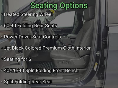 2024 Chevrolet Silverado 1500 LT (2FL)