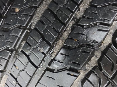 2023 Chevrolet Colorado WT