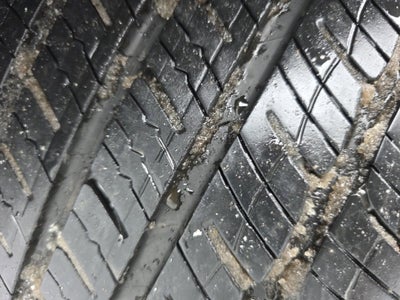 2022 Dodge Charger SXT AWD