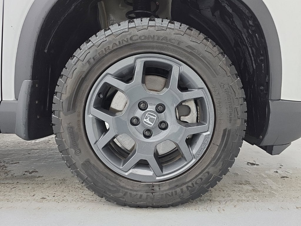 2024 Honda Pilot TrailSport