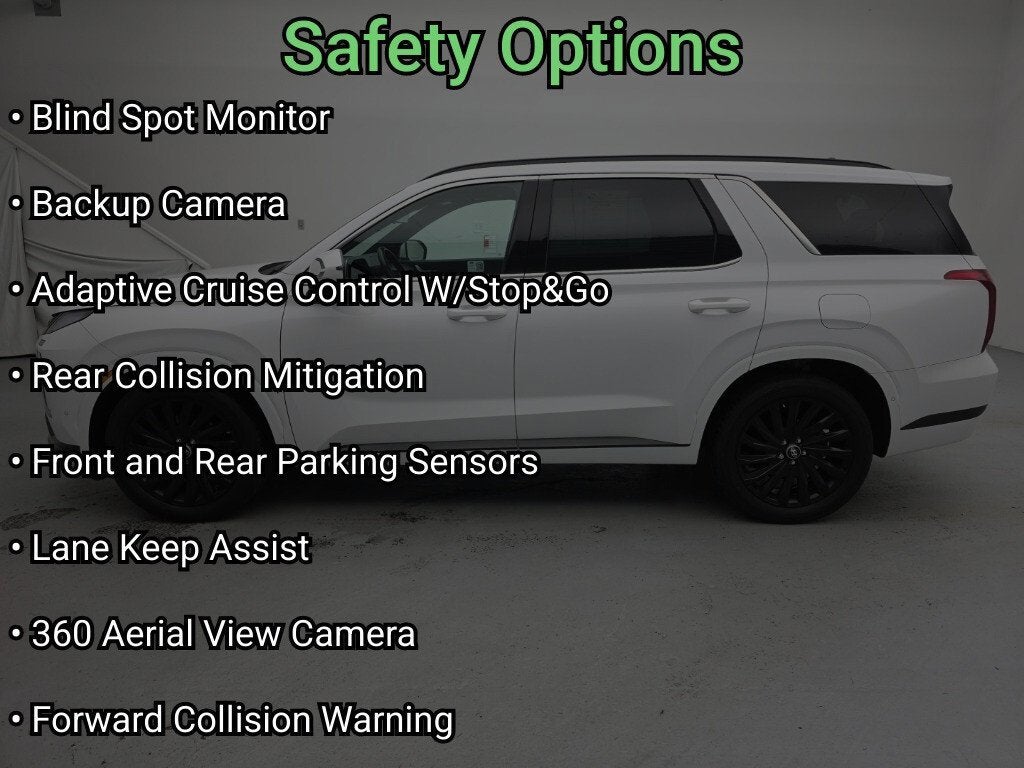 2024 Hyundai Palisade Calligraphy Night Edition